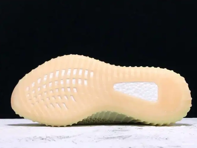 Reflective Adidas V2 Antlia 350 Yeezys FV3255 0615